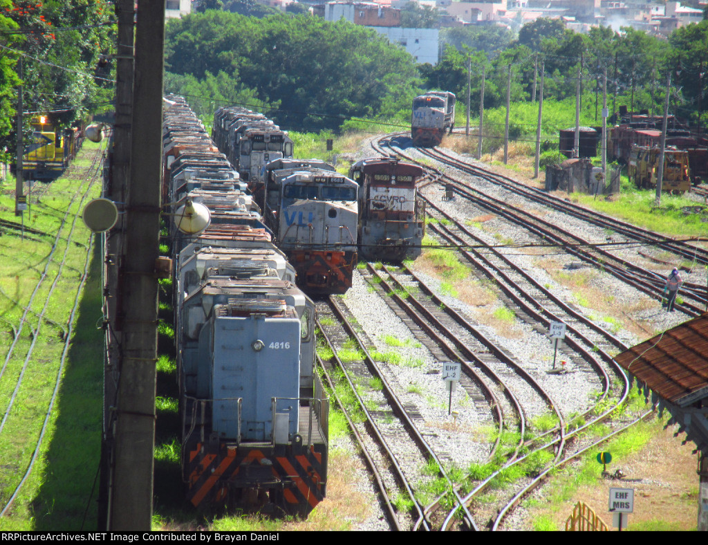 VLI 4816
